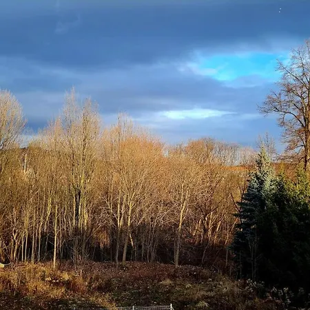 Apartment Cieplice One *